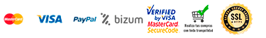 logo payment